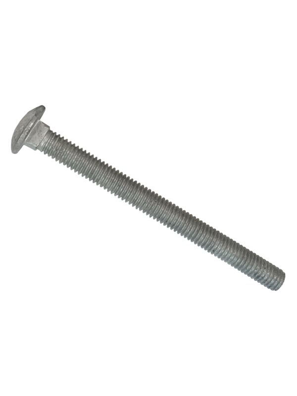Carriage Bolt A307 Galvanized