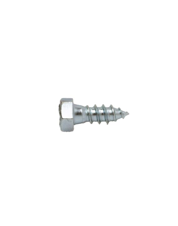 1/4 x 1 Hex Lag Screw Zinc 100/Box