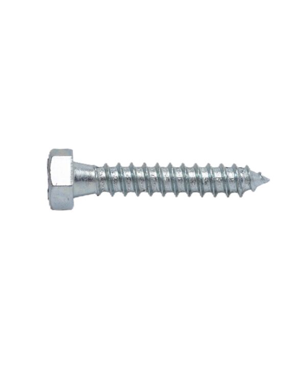 5/16 x 1-3/4 Hex Lag Screw Zinc 100/Box