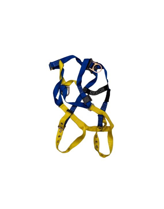 Basic D-Ring Harness with Grommet Leg Straps