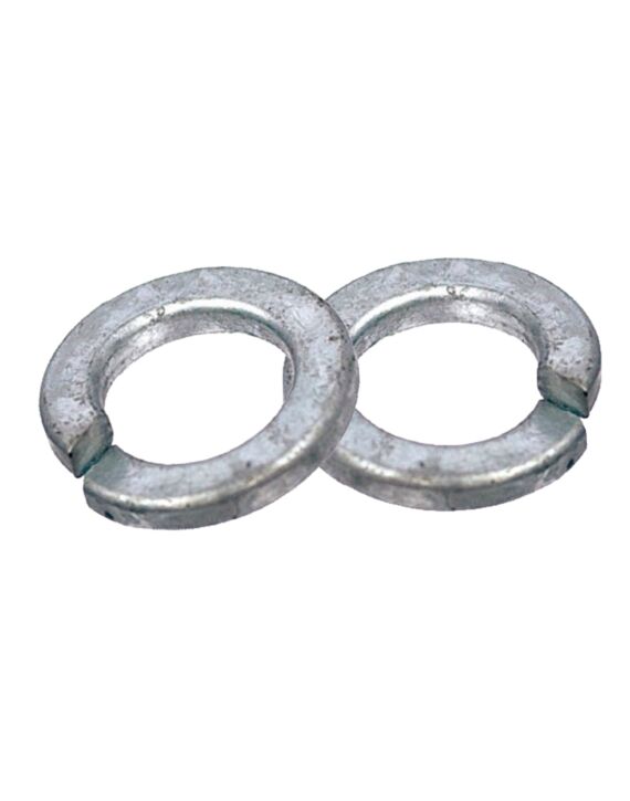 Medium Split Lock Washer Galvanized