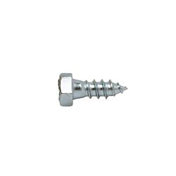 1/4 x 1 Hex Lag Screw Zinc 100/Box