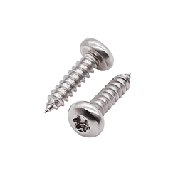 10 x 2 Pan Head Torx Drive Sheet Metal Screw Type AB Zinc 3000/Ctn