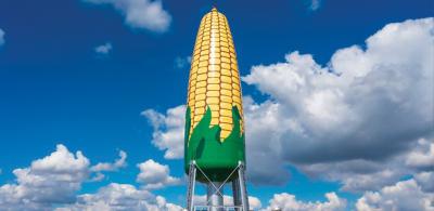 Allfasteners Gets Corny With New Safety Climb Installation